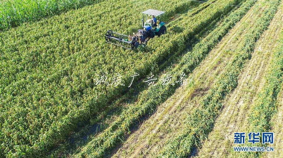 香港工聯(lián)會舉辦酒會社區(qū)宣傳欄慶祝新中國成立70周年