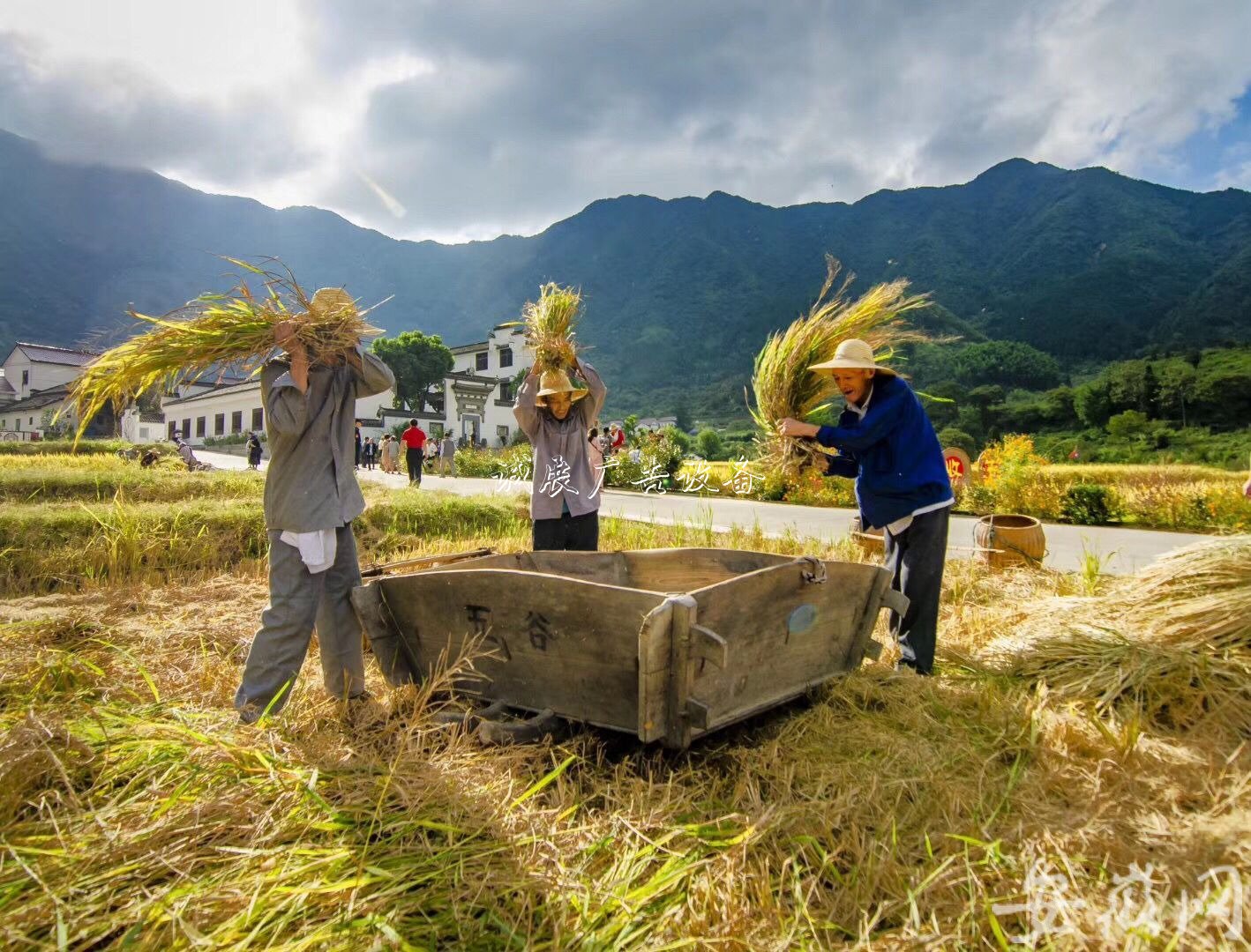 石臺農(nóng)民歡慶“中國學(xué)校宣傳欄農(nóng)民豐收節(jié)” （組圖）