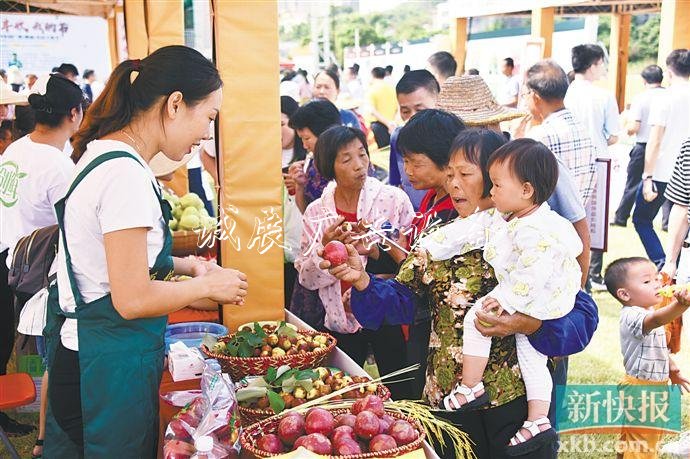 廣東各地農(nóng)民共慶“最美宣傳欄豐收節(jié)” 分享科技興農(nóng)成果