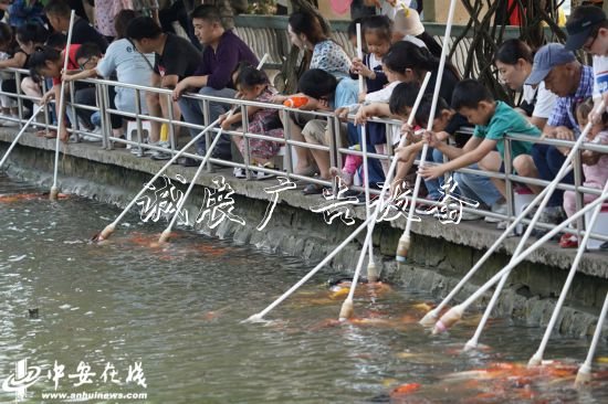 國(guó)慶假期，合肥逍遙垃圾箱津公園游人如織(組圖)