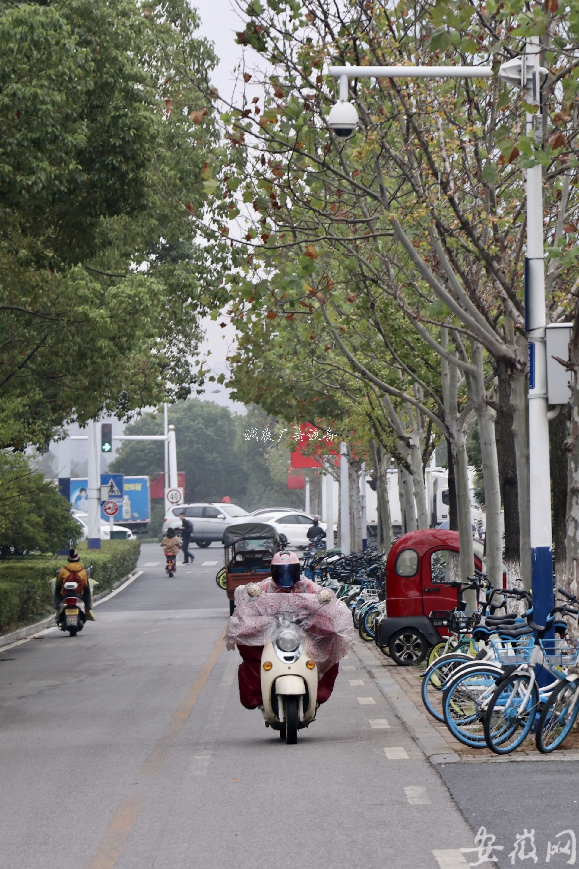 寒露迎小雨學(xué)校宣傳欄 合肥秋意濃