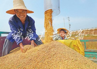 糧食庫存實(shí) 飯碗滾動(dòng)燈箱端得牢(權(quán)威發(fā)布)