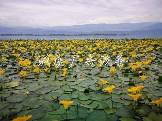 資料圖：何勤華 攝