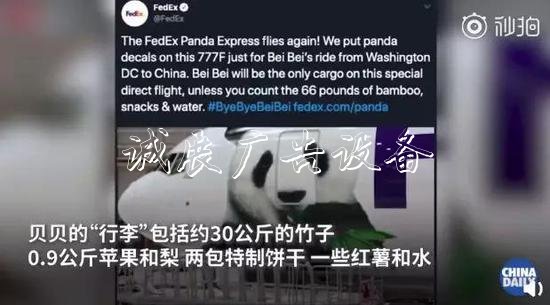 旅美大熊貓回家聽不懂學(xué)校宣傳欄中文咋辦？網(wǎng)友操碎了心