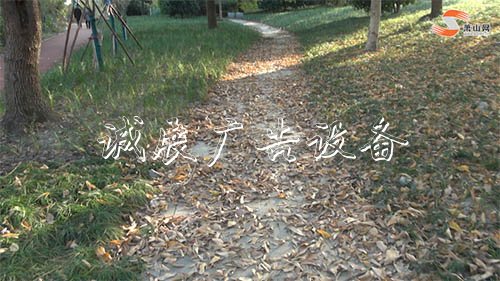 垃圾桶滿溢、雜草叢生？又一公園現(xiàn)破敗亂象