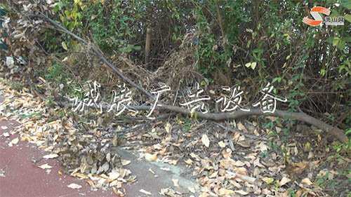 垃圾桶滿溢、雜草叢生？又一公園現(xiàn)破敗亂象