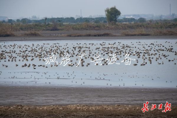 濕地保護(hù)得好不社區(qū)宣傳欄好，主要是看鳥(niǎo)