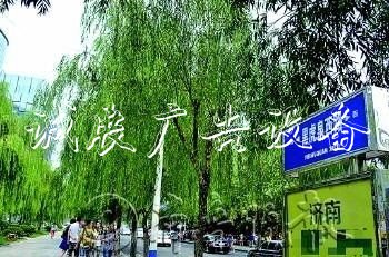 “白東西，綠南北”，宣傳欄廠家這句老北京暗語(yǔ)你知道嗎