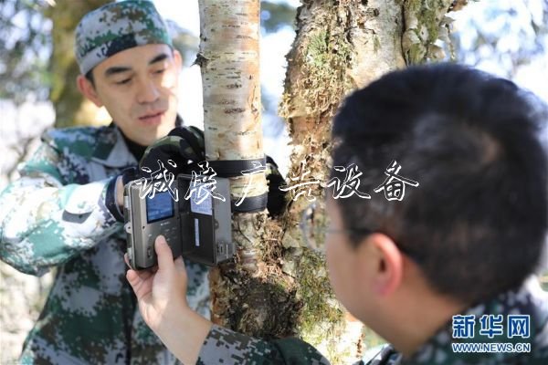 森林巡護員：野生路牌大熊貓棲息地守護者