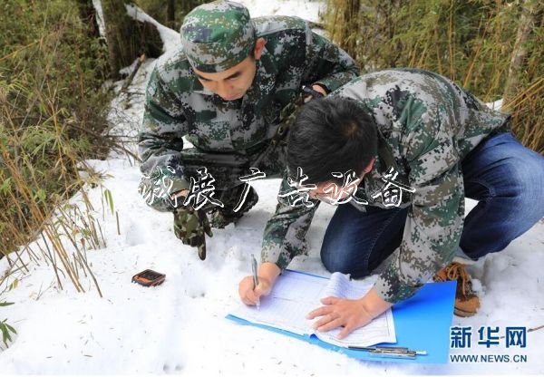 森林巡護員：野生路牌大熊貓棲息地守護者