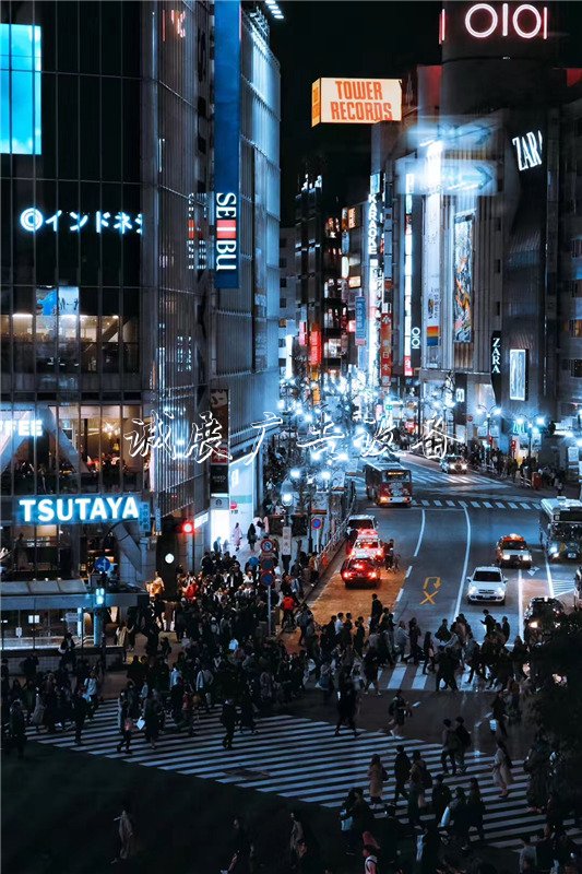 夜幕下的路牌活力東京