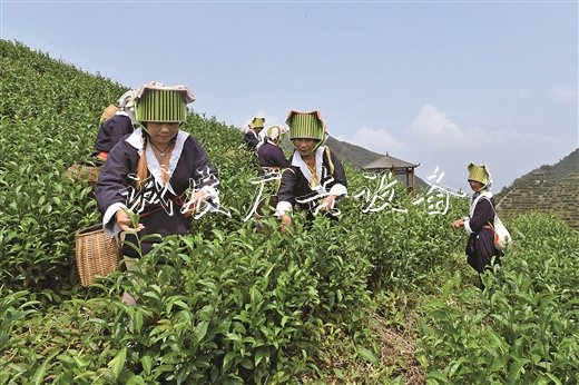 深山土瑤戶外滾動(dòng)燈箱脫貧路