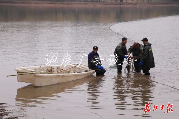 “舌尖上的武科大社區(qū)宣傳欄”美食評比大賽開賽