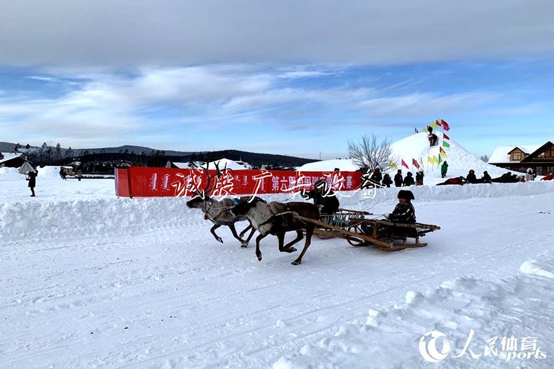 馴鹿拉雪橇大賽