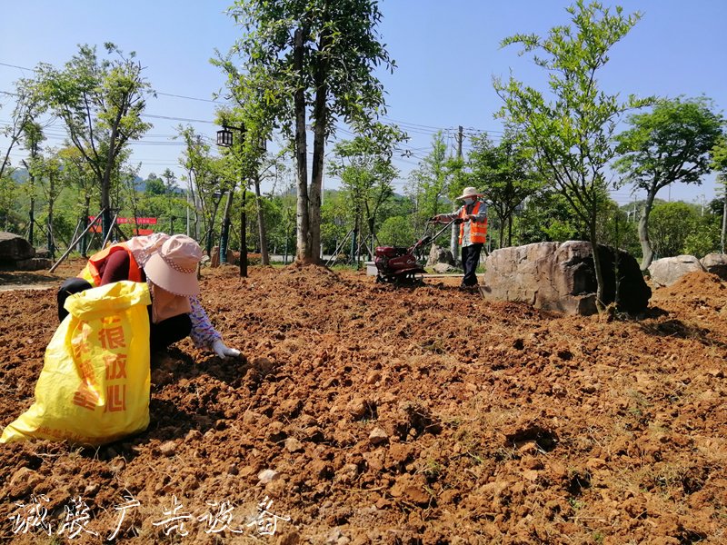 記者實地探訪市區(qū)社區(qū)公園等12個園林綠路牌化項目建設(shè)進展—— 公園建在家門口 生活美到心里頭