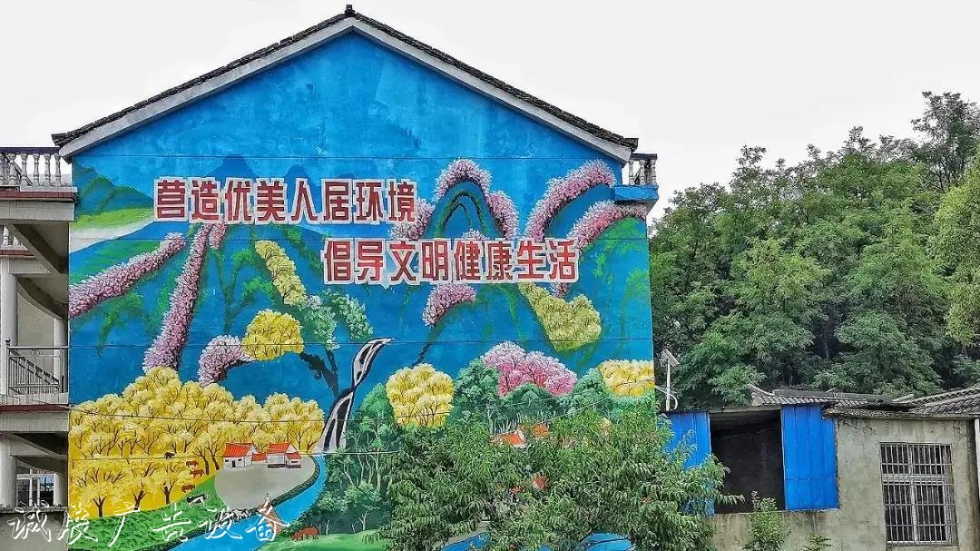 湖北鄂州：特色文化打社區(qū)宣傳欄造“精品村” 繪就美麗鄉(xiāng)