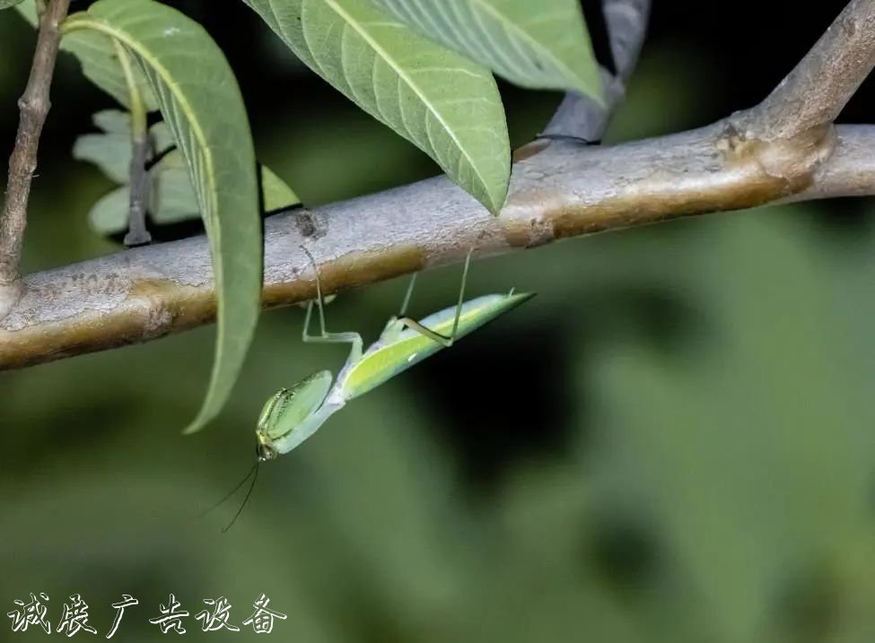 霓虹璀璨的不夜城里，太陽能垃圾桶讓我們一起守護(hù)這片黑暗