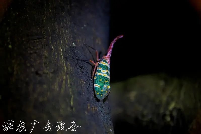 霓虹璀璨的不夜城里，太陽能垃圾桶讓我們一起守護(hù)這片黑暗