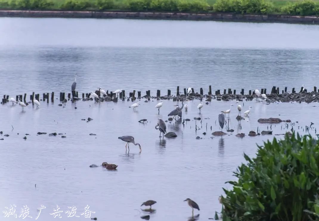 霓虹璀璨的不夜城里，太陽能垃圾桶讓我們一起守護(hù)這片黑暗