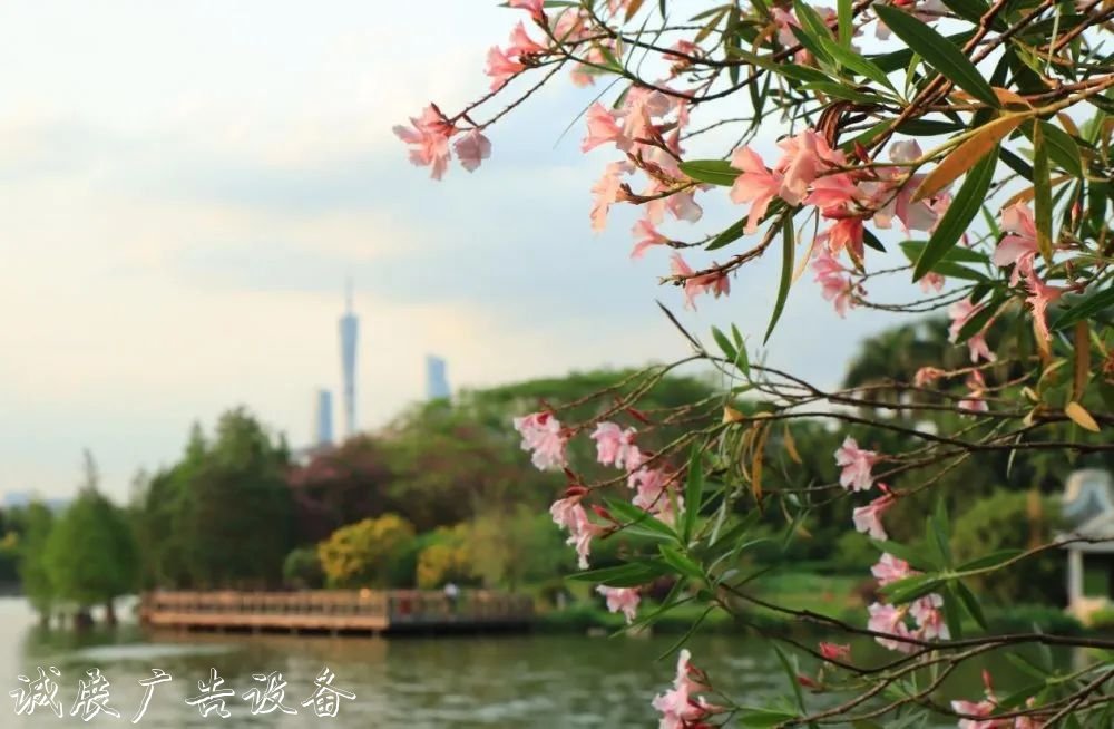 霓虹璀璨的不夜城里，太陽能垃圾桶讓我們一起守護(hù)這片黑暗