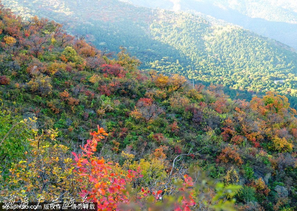 北京旅游文化宣傳欄網(wǎng)資源庫(kù)