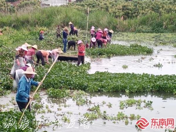 莆田仙游楓亭鎮(zhèn)打響河分類垃圾亭道水葫蘆“殲滅戰(zhàn)” 維護(hù)